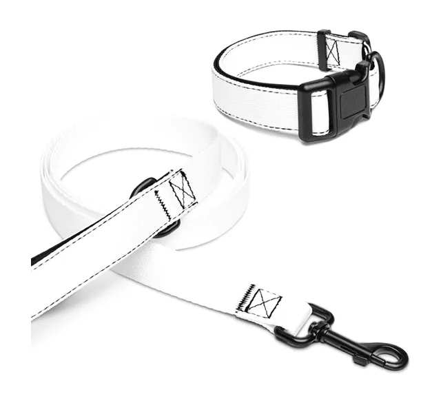 Pet collar & leash