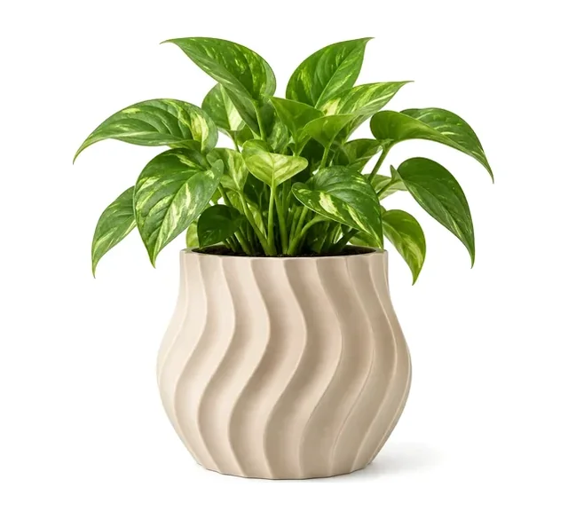 Planter