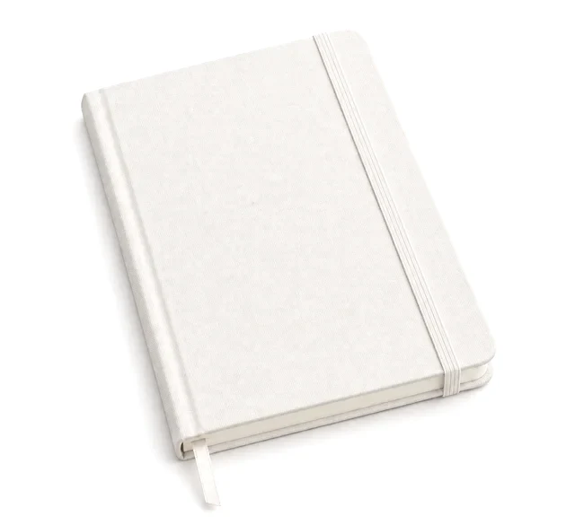 Journal