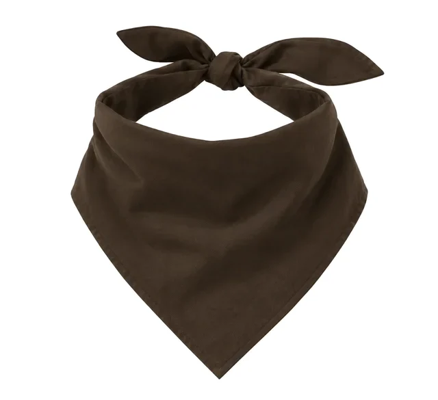 Pet bandana